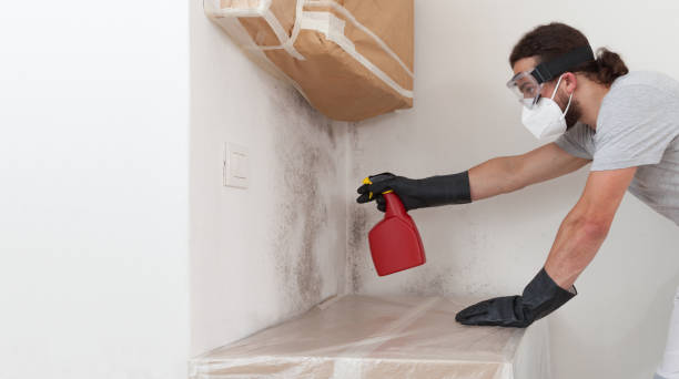 Professional Bathroom Mold Removal technician working in Dayton, OR